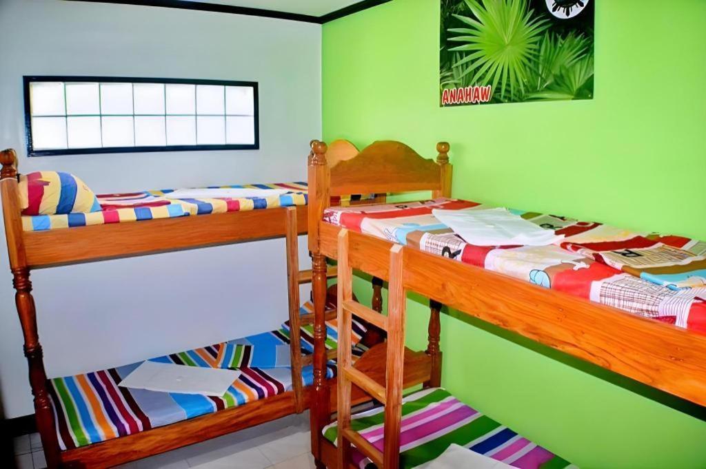 Mayon Backpackers Hostel Legazpi Dış mekan fotoğraf